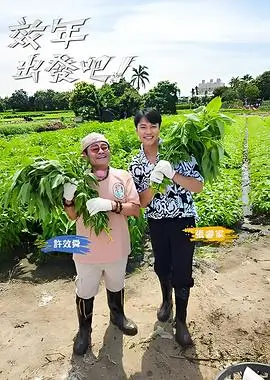 资讯配图，片种图鉴年代区间补录示意